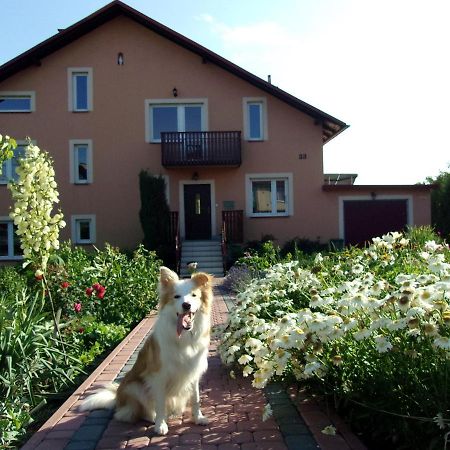 Agroturystyka U Basi Wola Kalinowska Luaran gambar
